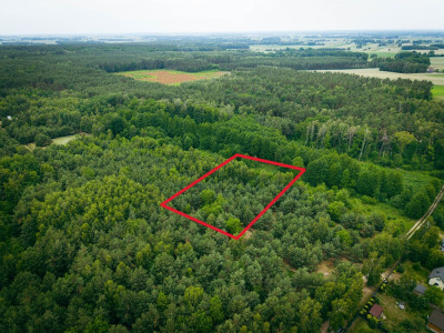 Działka 3960 m2 pod budowę domu z własnym lasem - Pelagia  -
Łódzkie Zdjęcie nr 6