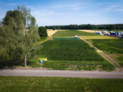 Skotniki Piękne 2417m w ciszy blisko Łodzi - Skotniki  -
Łódzkie Zdjęcie nr 5