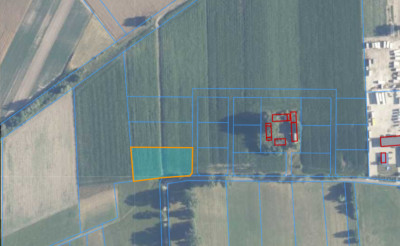 Skotniki Piękne 2417m w ciszy blisko Łodzi - Skotniki  -
Łódzkie Zdjęcie nr 6