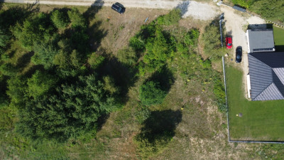 Ta działka skrywa coś wyjątkowego Sprawdź - Słone  -
Lubuskie Zdjęcie nr 13
