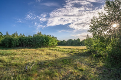 Gotowy teren inwestycyjny blisko A2 - Boruja Nowa  -
Wielkopolskie Zdjęcie nr 10
