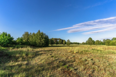 Gotowy teren inwestycyjny blisko A2 - Boruja Nowa  -
Wielkopolskie Zdjęcie nr 11
