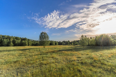 Gotowy teren inwestycyjny blisko A2 - Boruja Nowa  -
Wielkopolskie Zdjęcie nr 12