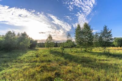 Gotowy teren inwestycyjny blisko A2 - Boruja Nowa  -
Wielkopolskie Zdjęcie nr 14