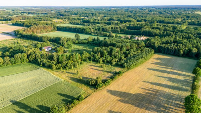 Gotowy teren inwestycyjny blisko A2 - Boruja Nowa  - Wielkopolskie