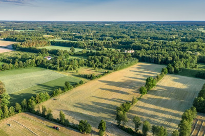 Gotowy teren inwestycyjny blisko A2 - Boruja Nowa  -
Wielkopolskie Zdjęcie nr 2