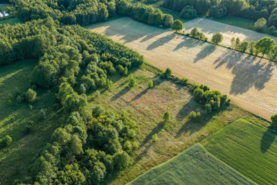 Gotowy teren inwestycyjny blisko A2 - Boruja Nowa  -
Wielkopolskie Zdjęcie nr 3