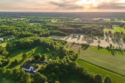 Gotowy teren inwestycyjny blisko A2 - Boruja Nowa  -
Wielkopolskie Zdjęcie nr 4