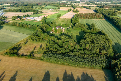 Gotowy teren inwestycyjny blisko A2 - Boruja Nowa  -
Wielkopolskie Zdjęcie nr 6