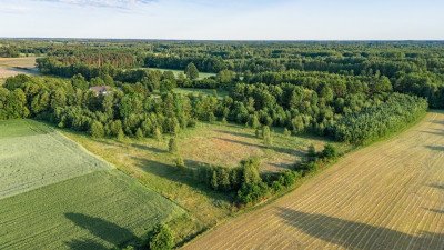 Gotowy teren inwestycyjny blisko A2 - Boruja Nowa  -
Wielkopolskie Zdjęcie nr 7