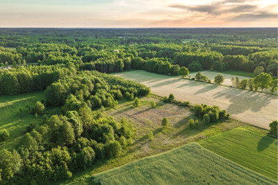 Gotowy teren inwestycyjny blisko A2 - Boruja Nowa  -
Wielkopolskie Zdjęcie nr 8