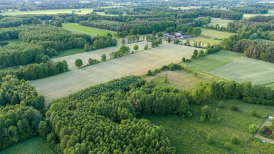 Gotowy teren inwestycyjny blisko A2 - Boruja Nowa  -
Wielkopolskie Zdjęcie nr 9