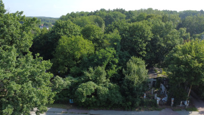 Racula Działka budowlana 3195 m z widokiem - Racula  -
Lubuskie Zdjęcie nr 9