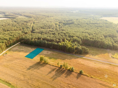 Inwestycja w ciszę Działki z WZ za 59 tys zł - Ścichawa  -
Łódzkie Zdjęcie nr 3