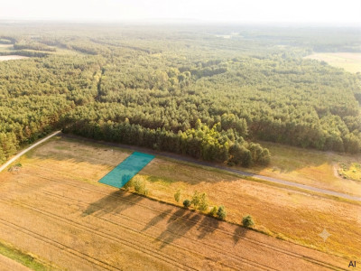 Inwestycja w ciszę Działki z WZ za 59 tys zł - Ścichawa  -
Łódzkie Zdjęcie nr 4
