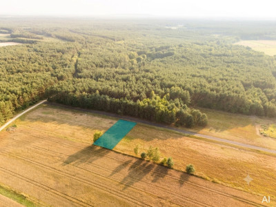 Inwestycja w ciszę Działki z WZ za 59 tys zł - Ścichawa  -
Łódzkie Zdjęcie nr 5