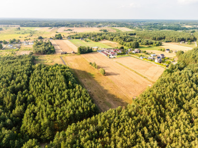 Inwestycja w ciszę Działki z WZ za 59 tys zł - Ścichawa  -
Łódzkie Zdjęcie nr 8