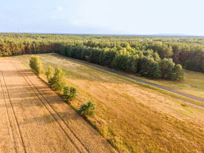 Inwestycja w ciszę Działki z WZ za 59 tys zł - Ścichawa  -
Łódzkie Zdjęcie nr 9
