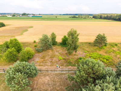 Ziemia tańsza niż garaż Rasy 10 arów za 60 tys - Rasy  -
Łódzkie Zdjęcie nr 6