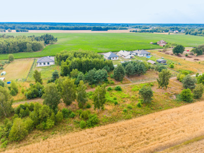 Ziemia tańsza niż garaż Rasy 10 arów za 60 tys - Rasy  -
Łódzkie Zdjęcie nr 9