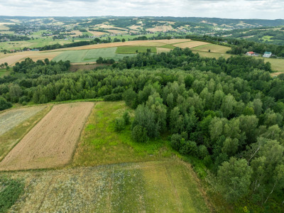 Broniszów - widokowa budowlana 3654 ar z WZ - Broniszów  -
Podkarpackie Zdjęcie nr 2