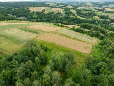 Broniszów - widokowa budowlana 3654 ar z WZ - Broniszów  -
Podkarpackie Zdjęcie nr 4