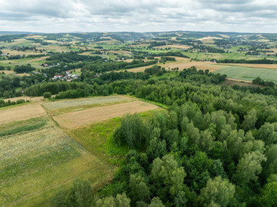 Broniszów - widokowa budowlana 3654 ar z WZ - Broniszów  -
Podkarpackie Zdjęcie nr 5