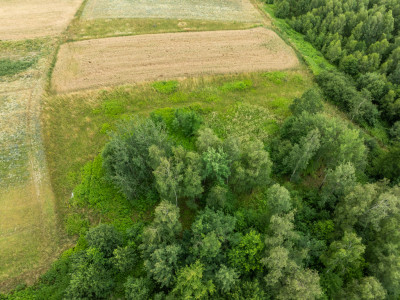Broniszów - rekreacyjno- budowlana 3763 ar - Broniszów  -
Podkarpackie Zdjęcie nr 4