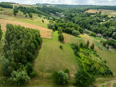 Broniszów - leśna  29 ar - Broniszów  -
Podkarpackie Zdjęcie nr 2