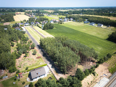 Dom w otoczeniu lasu Ta działka spełnia marzenia - Sierakowice Lewe  - Łódzkie