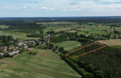 Działka rolno - leśna w Luboczy - Gmina Rzeczyca - Lubocz  - Łódzkie