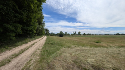 Działka rolna w Luboczy - Gmina Rzeczyca - Lubocz  -
Łódzkie Zdjęcie nr 3