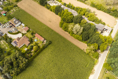 Działka budowlana Przygodzice - Przygodzice  -
Wielkopolskie Zdjęcie nr 4