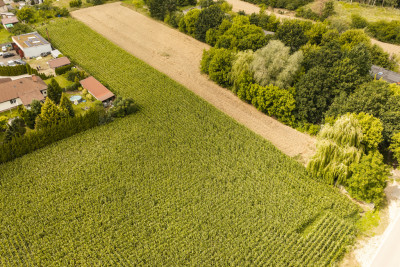 Działka budowlana Przygodzice - Przygodzice  -
Wielkopolskie Zdjęcie nr 5