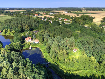 Działka Nojewocisza natura i widoki-MPZP-1715m2 - Nojewo  -
Wielkopolskie Zdjęcie nr 10