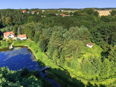 Działka Nojewocisza natura i widoki-MPZP-1715m2 - Nojewo  -
Wielkopolskie Zdjęcie nr 11