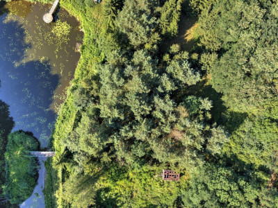 Działka Nojewocisza natura i widoki-MPZP-1715m2 - Nojewo  -
Wielkopolskie Zdjęcie nr 14