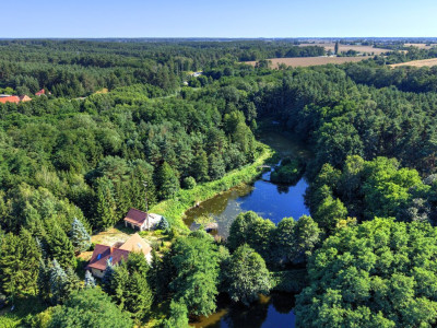 Działka Nojewocisza natura i widoki-MPZP-1715m2 - Nojewo  -
Wielkopolskie Zdjęcie nr 8