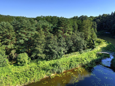 Działka Nojewocisza natura i widoki-MPZP-1715m2 - Nojewo  -
Wielkopolskie Zdjęcie nr 9
