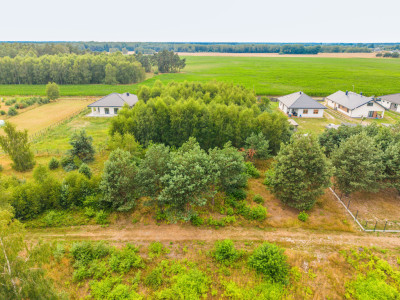 Gotowe WZ Działka 1332 m pod Bełchatowem - Rasy  - Łódzkie
