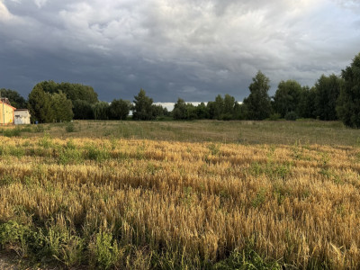 Topola Szlachecka  tutaj codzienność zwalnia - Topola Szlachecka  - Łódzkie