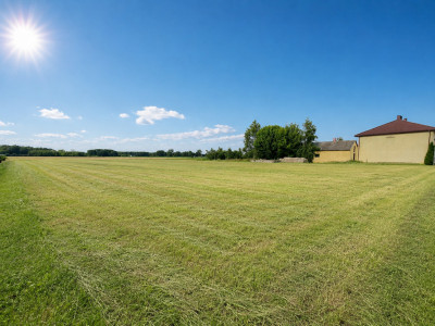 Prestiżowe działki w malowniczej gm Nieborów - Bednary-Kolonia  -
Łódzkie Zdjęcie nr 7