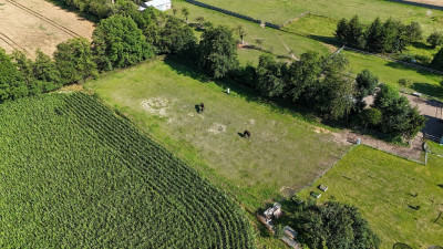 Urokliwa miejscowość nad jeziorem  działka z WZ - Krzycko Małe  -
Wielkopolskie Zdjęcie nr 8