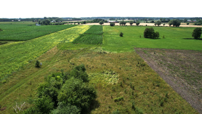 1685 m natury z WZ Buduj w Janowie Ruszki - Ruszki  -
Mazowieckie Zdjęcie nr 7