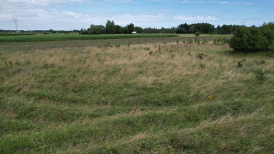 Zacznij budowę jutro 1921 m pod dom z WZ - Ruszki  -
Mazowieckie Zdjęcie nr 7