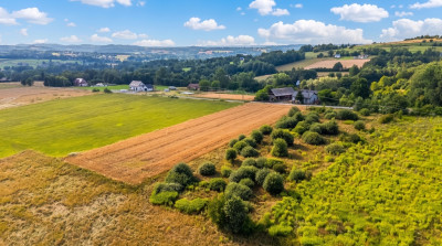 Działka 57 arów pod dom lub biznes  Tarnawa - Tarnawa  -
Małopolskie Zdjęcie nr 10
