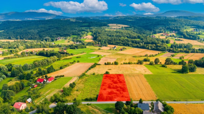 Działka 57 arów pod dom lub biznes  Tarnawa - Tarnawa  -
Małopolskie Zdjęcie nr 12