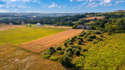 Działka 57 arów pod dom lub biznes  Tarnawa - Tarnawa  -
Małopolskie Zdjęcie nr 4