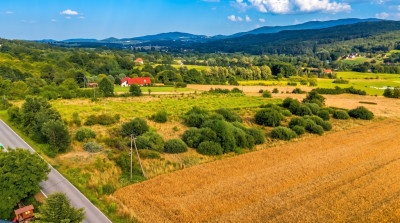 Działka 57 arów pod dom lub biznes  Tarnawa - Tarnawa  -
Małopolskie Zdjęcie nr 5
