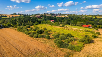 Działka 57 arów pod dom lub biznes  Tarnawa - Tarnawa  -
Małopolskie Zdjęcie nr 6